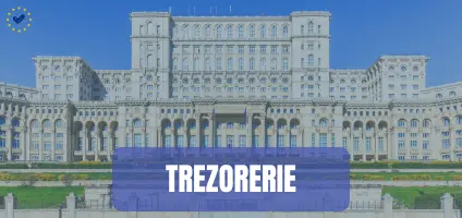Plată anunț cu fonduri europene prin Trezorerie – opțiune pentru instituții publice